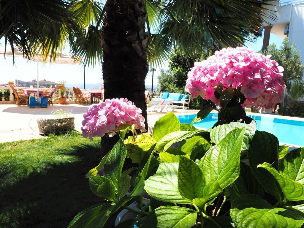 Villa Panorama Selcuk Eksteriør bilde